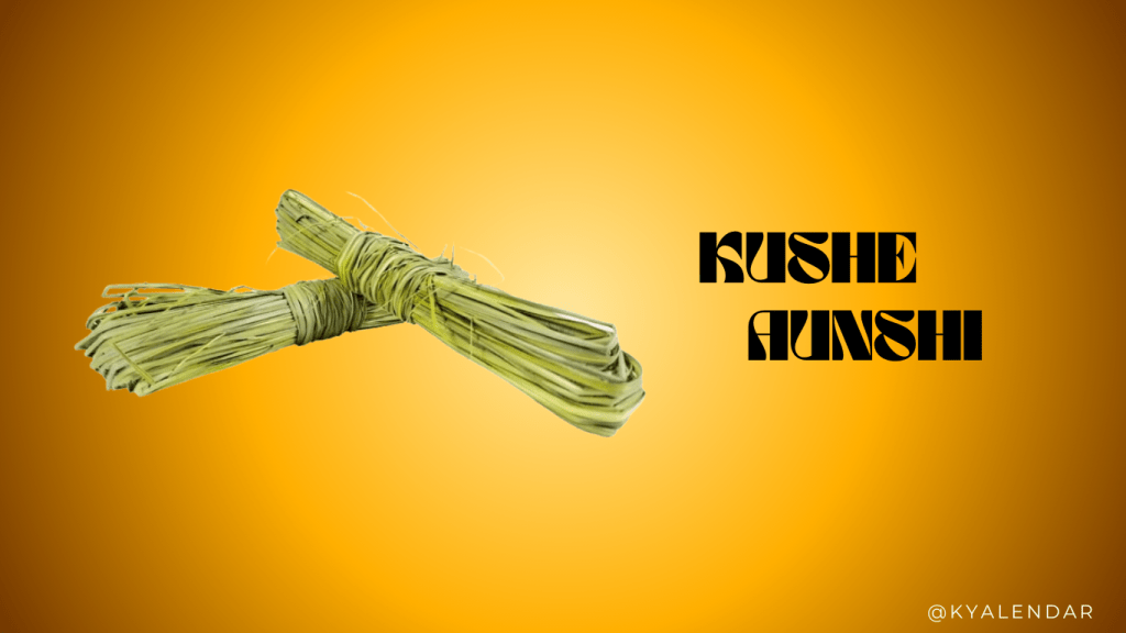 Kushe Aunsi